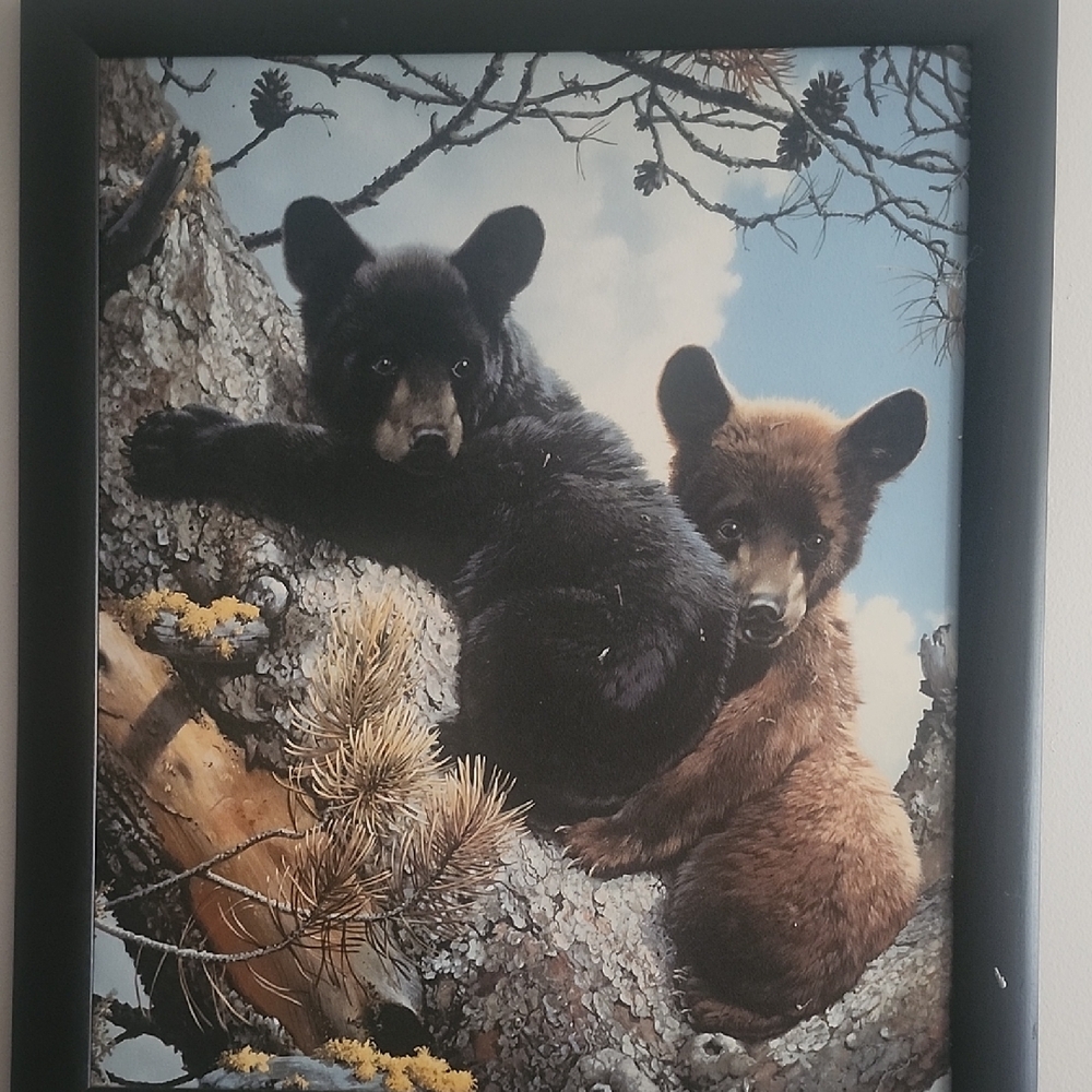 Bear Cub Wall Art in Black Frame